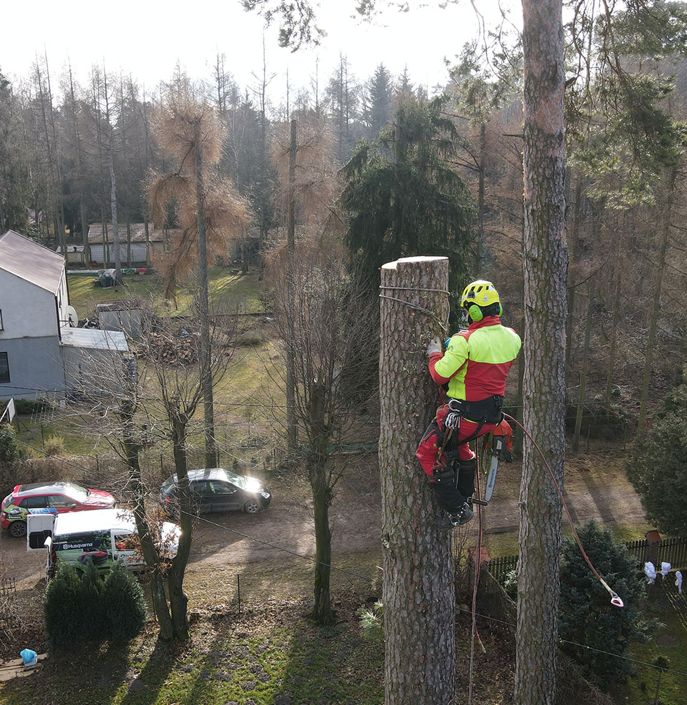 arborystyka radom